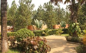 Saltek Forest Cottages