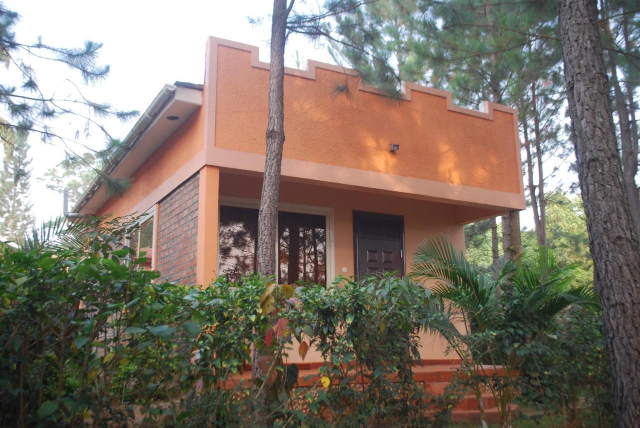 Saltek Forest Cottages Masindi Exterior photo